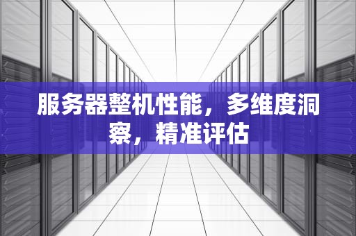 服务器整机性能，多维度洞察，精准评估
