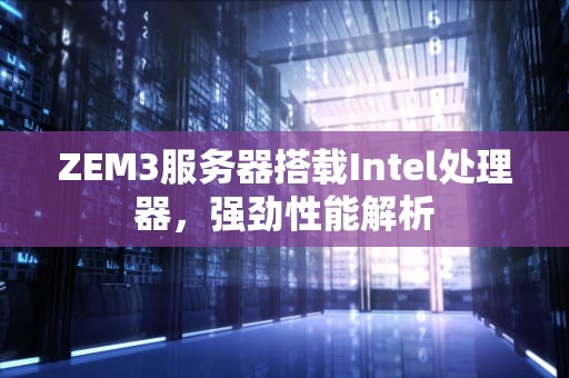 ZEM3服务器搭载Intel处理器，强劲性能解析