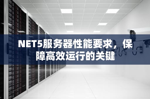 NET5服务器性能要求，保障高效运行的关键