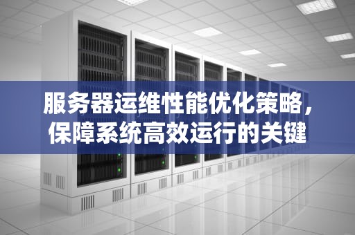 服务器运维性能优化策略，保障系统高效运行的关键