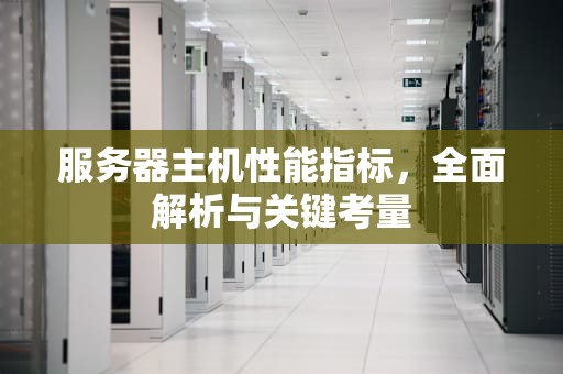 服务器主机性能指标，全面解析与关键考量