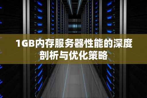 1GB内存服务器性能的深度剖析与优化策略