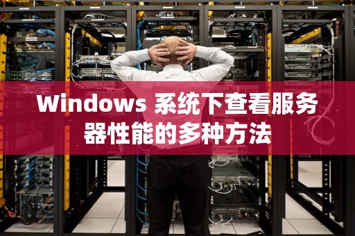 Windows 系统下查看服务器性能的多种方法