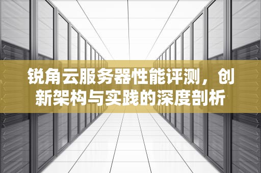 锐角云服务器性能评测，创新架构与实践的深度剖析