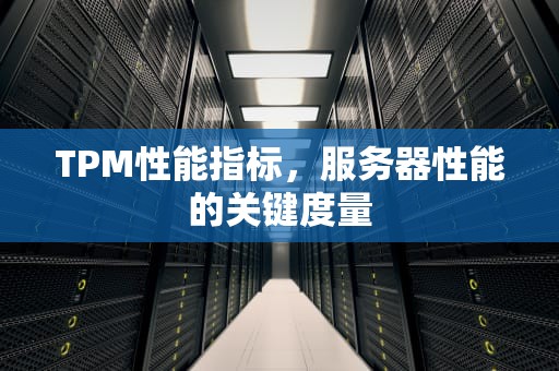 TPM性能指标，服务器性能的关键度量