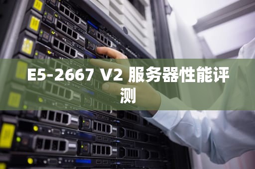 E5-2667 V2 服务器性能评测