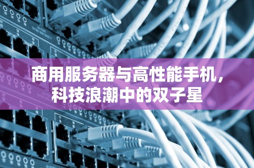 商用服务器与高性能手机，科技浪潮中的双子星