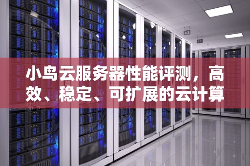 小鸟云服务器性能评测，高效、稳定、可扩展的云计算解决方案