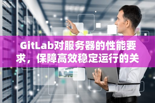 GitLab对服务器的性能要求，保障高效稳定运行的关键