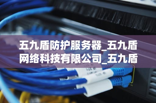 五九盾防护服务器_五九盾网络科技有限公司_五九盾防护服务器：为网络安全提供坚实的盾牌
