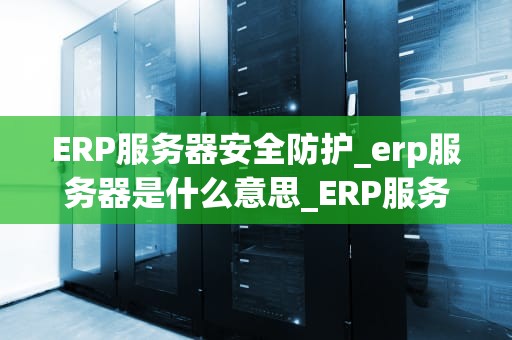 ERP服务器安全防护_erp服务器是什么意思_ERP服务器安全防护策略