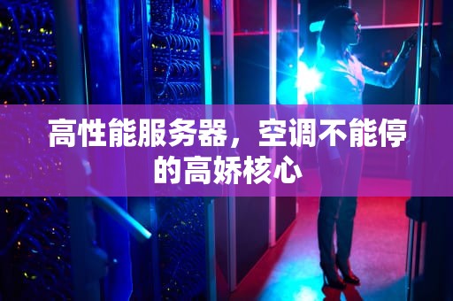 高性能服务器，空调不能停的高娇核心