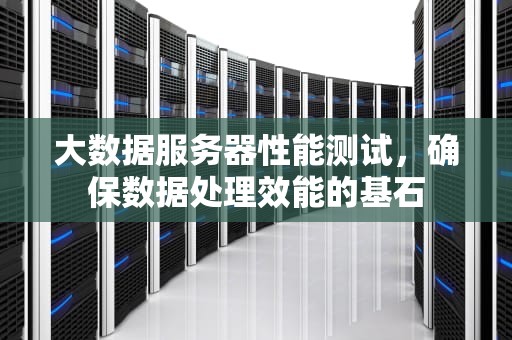 大数据服务器性能测试，确保数据处理效能的基石