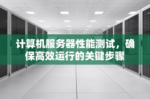 计算机服务器性能测试，确保高效运行的关键步骤