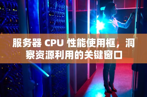服务器 CPU 性能使用框，洞察资源利用的关键窗口
