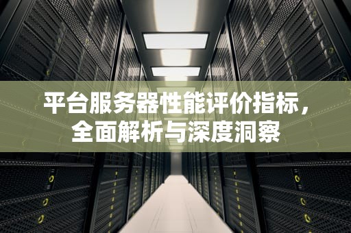 平台服务器性能评价指标，全面解析与深度洞察