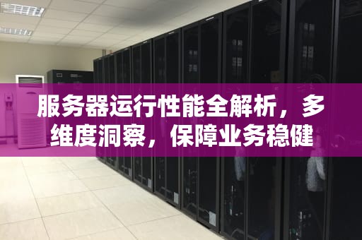 服务器运行性能全解析，多维度洞察，保障业务稳健