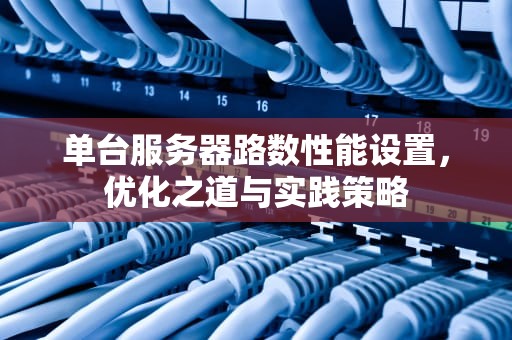 单台服务器路数性能设置，优化之道与实践策略