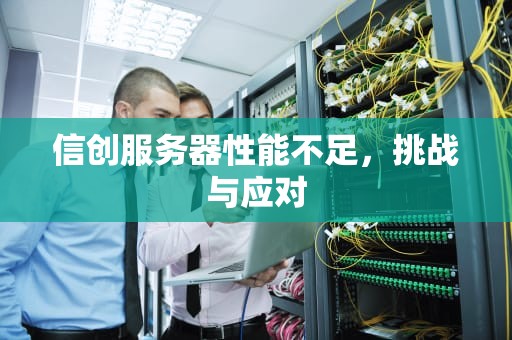 信创服务器性能不足，挑战与应对