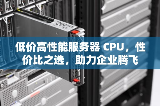 低价高性能服务器 CPU，性价比之选，助力企业腾飞