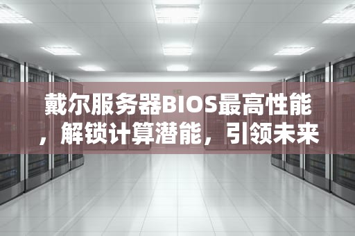 戴尔服务器BIOS最高性能，解锁计算潜能，引领未来计算趋势