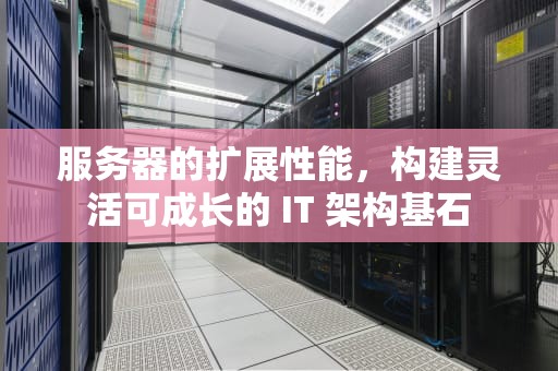 服务器的扩展性能，构建灵活可成长的 IT 架构基石