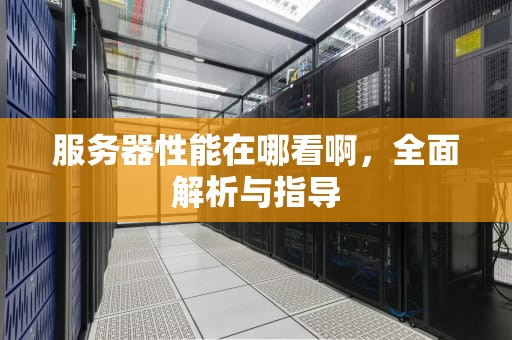 服务器性能在哪看啊，全面解析与指导