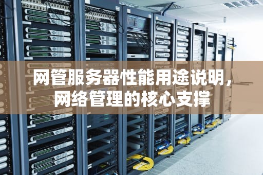 网管服务器性能用途说明，网络管理的核心支撑