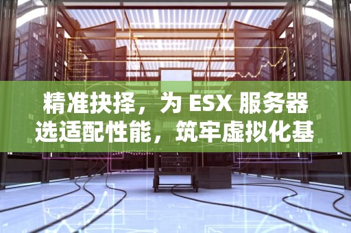 精准抉择，为 ESX 服务器选适配性能，筑牢虚拟化基石