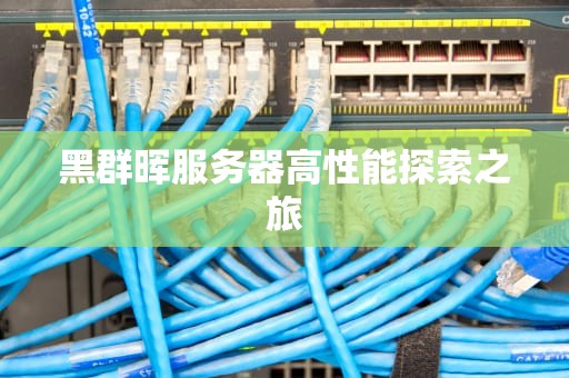 黑群晖服务器高性能探索之旅