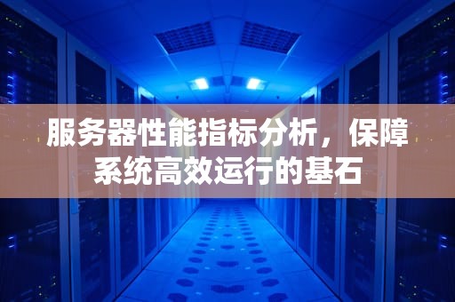 服务器性能指标分析，保障系统高效运行的基石