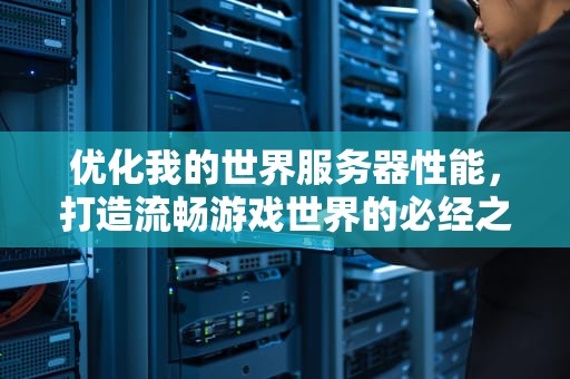优化我的世界服务器性能，打造流畅游戏世界的必经之路