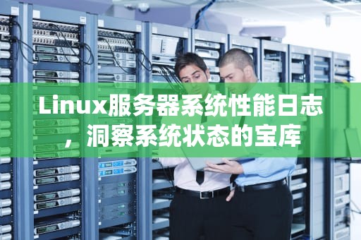 Linux服务器系统性能日志，洞察系统状态的宝库