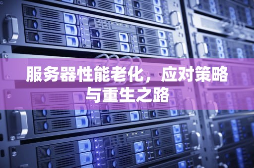 服务器性能老化，应对策略与重生之路