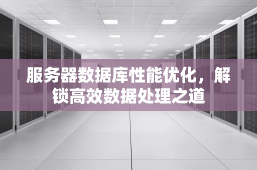 服务器数据库性能优化，解锁高效数据处理之道