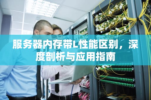 服务器内存带L性能区别，深度剖析与应用指南