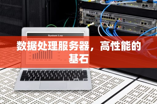 数据处理服务器，高性能的基石