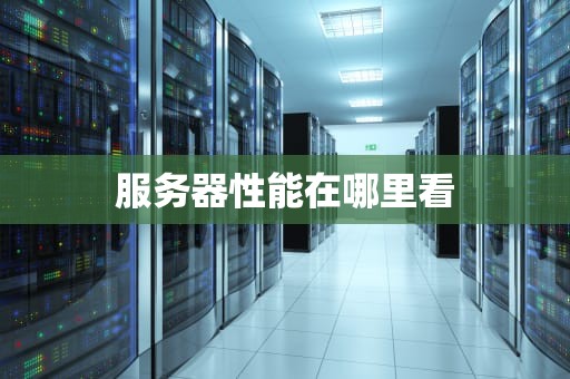 服务器性能在哪里看