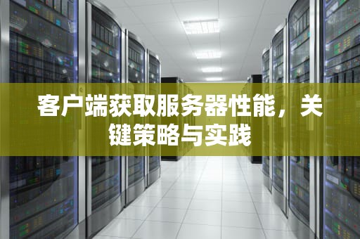 客户端获取服务器性能，关键策略与实践