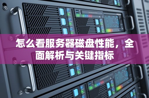 怎么看服务器磁盘性能，全面解析与关键指标
