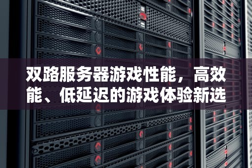 双路服务器游戏性能，高效能、低延迟的游戏体验新选择