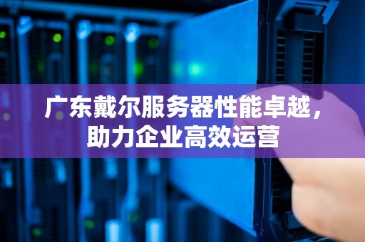 广东戴尔服务器性能卓越，助力企业高效运营