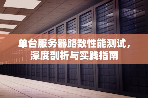 单台服务器路数性能测试，深度剖析与实践指南