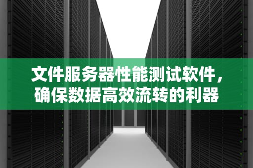 文件服务器性能测试软件，确保数据高效流转的利器