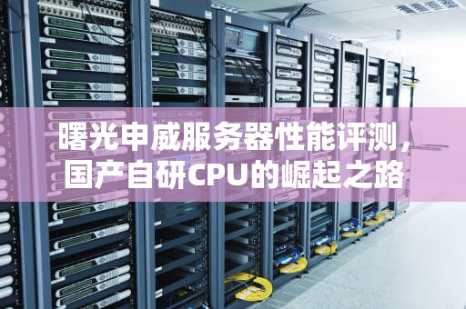 曙光申威服务器性能评测，国产自研CPU的崛起之路