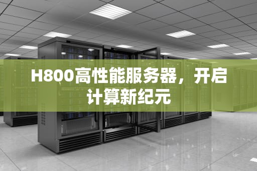 H800高性能服务器，开启计算新纪元