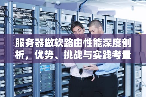 服务器做软路由性能深度剖析，优势、挑战与实践考量