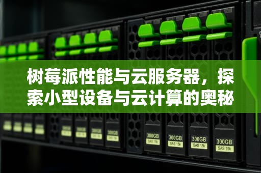 树莓派性能与云服务器，探索小型设备与云计算的奥秘