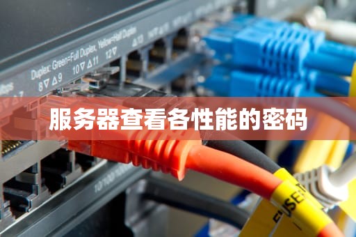 服务器查看各性能的密码
