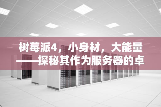 树莓派4，小身材，大能量——探秘其作为服务器的卓越性能